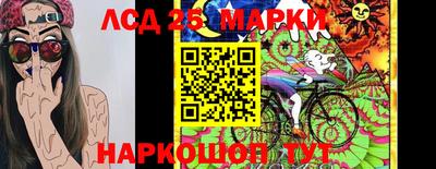 гашик Владимир