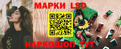 гашик Владимир