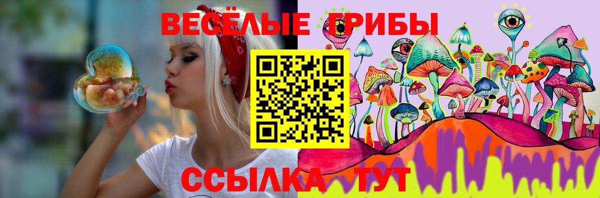 Псилоцибиновые грибы MAGIC MUSHROOMS Бузулук