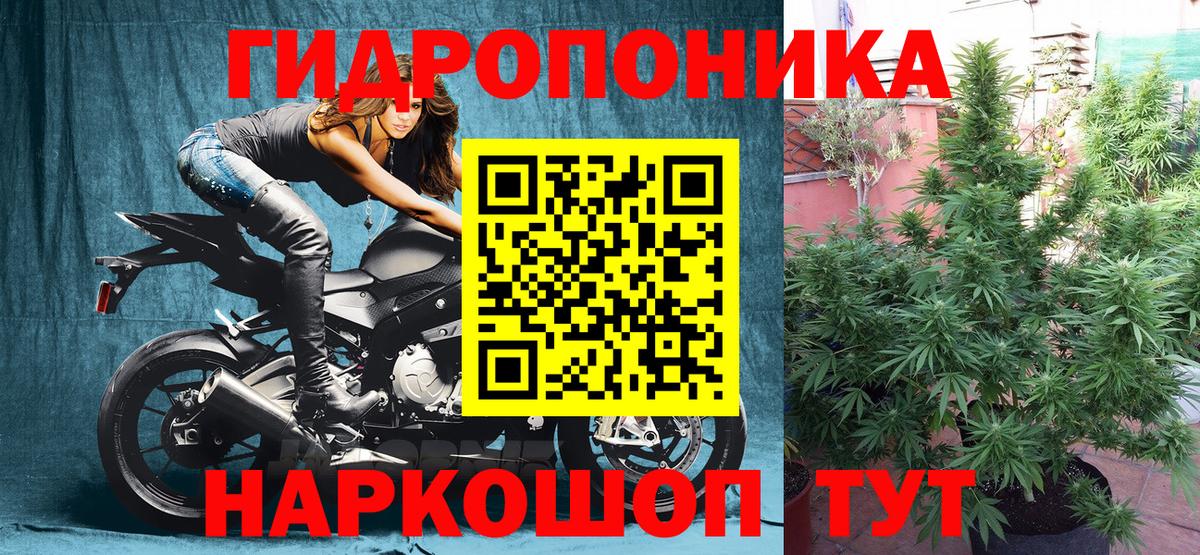 Марихуана тримм  Шишки марихуана Bruce Banner  Каннабис White Widow  Вход с VPN  Бузулук 